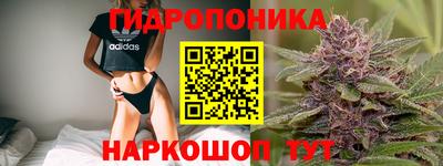 Альфа ПВП Уссурийск