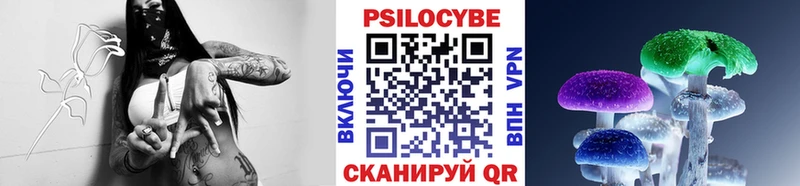 Псилоцибиновые грибы Psilocybine cubensis  Сосновый Бор 