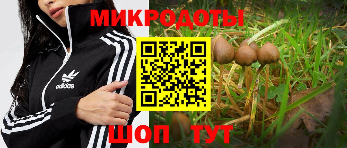Псилоцибиновые грибы прущие грибы  Вход с VPN  Сосновый Бор 